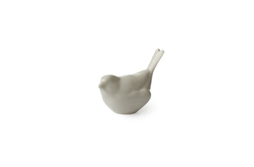 Bloom bird in Grey