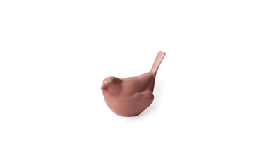 Bloom bird in Coral