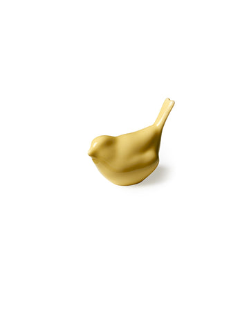 Bloom bird in Yellow