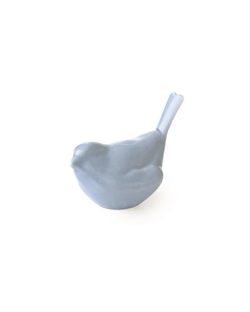 Bloom bird in Blue